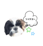 はるじくんスタンプ1（個別スタンプ：6）