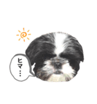 はるじくんスタンプ1（個別スタンプ：8）