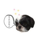 はるじくんスタンプ1（個別スタンプ：10）