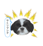 はるじくんスタンプ1（個別スタンプ：11）