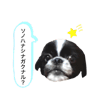 はるじくんスタンプ1（個別スタンプ：19）