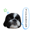はるじくんスタンプ1（個別スタンプ：20）