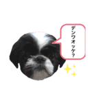 はるじくんスタンプ1（個別スタンプ：21）