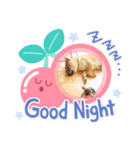 柴犬  コタローだよ（個別スタンプ：12）