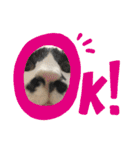 あちゃんあずきスタンプその1（個別スタンプ：3）