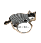 あちゃんあずきスタンプその1（個別スタンプ：9）