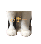 あちゃんあずきスタンプその1（個別スタンプ：10）