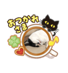 あちゃんあずきスタンプその1（個別スタンプ：11）