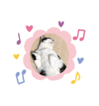 あちゃんあずきスタンプその1（個別スタンプ：13）