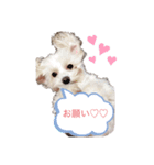 コロンちゃんのひとりごと（個別スタンプ：6）
