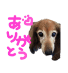 まさきくんのレイちゃんだよ（個別スタンプ：2）