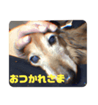 まさきくんのレイちゃんだよ（個別スタンプ：13）