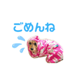 ♡meru♡（個別スタンプ：5）