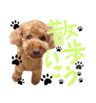 SHIORI スタンプ（個別スタンプ：22）