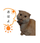 きなぼみ（個別スタンプ：1）