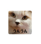 きなぼみ（個別スタンプ：11）