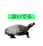 サンクとロック。いつでも使えよ。（個別スタンプ：3）