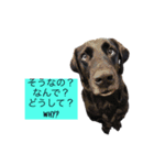 サンクとロック。いつでも使えよ。（個別スタンプ：4）