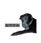 サンクとロック。いつでも使えよ。（個別スタンプ：6）