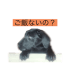 サンクとロック。いつでも使えよ。（個別スタンプ：7）