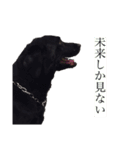 サンクとロック。いつでも使えよ。（個別スタンプ：9）