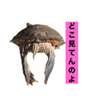 サンクとロック。いつでも使えよ。（個別スタンプ：11）