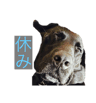 サンクとロック。いつでも使えよ。（個別スタンプ：12）