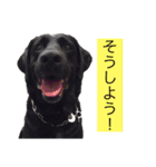 サンクとロック。いつでも使えよ。（個別スタンプ：13）