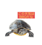 サンクとロック。いつでも使えよ。（個別スタンプ：14）