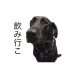 サンクとロック。いつでも使えよ。（個別スタンプ：15）