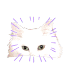 うちのもくちゃん（個別スタンプ：1）