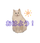 うちのもくちゃん（個別スタンプ：2）