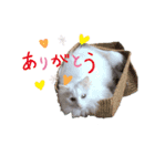 うちのもくちゃん（個別スタンプ：4）