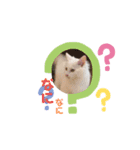 うちのもくちゃん（個別スタンプ：10）