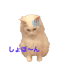 うちのもくちゃん（個別スタンプ：14）