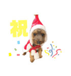そらまるとちゃちゃたろう（個別スタンプ：8）