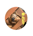 そらまるとちゃちゃたろう（個別スタンプ：10）