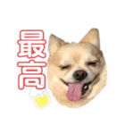 今日のテツ②（個別スタンプ：6）