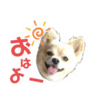 今日のテツ②（個別スタンプ：9）