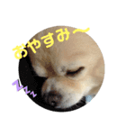 今日のテツ②（個別スタンプ：10）
