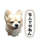 今日のテツ②（個別スタンプ：11）