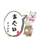 今日のテツ②（個別スタンプ：14）