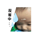 毎日こーくん（個別スタンプ：12）