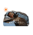 家の可愛い空くん（個別スタンプ：16）