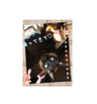 家の可愛い空くん（個別スタンプ：19）