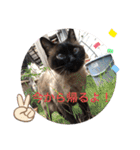 家の可愛い空くん（個別スタンプ：25）
