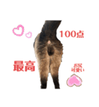家の可愛い空くん（個別スタンプ：38）