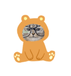 ねこ と くらす（個別スタンプ：4）