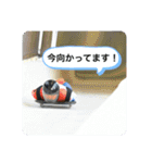 りんのスタンプダヨ（個別スタンプ：5）