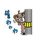 マスくまスタンプ3（個別スタンプ：17）